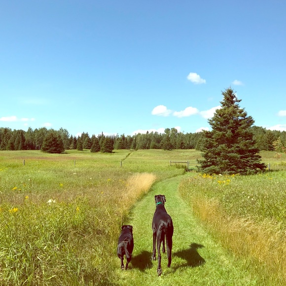 Meet your Posher, Nicole - Picture 1 of 1